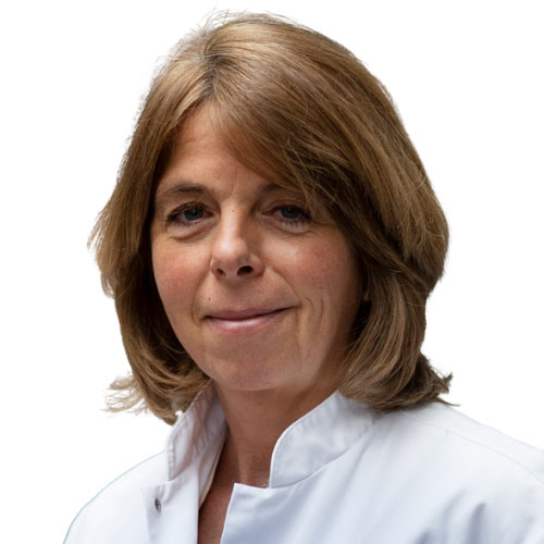 Prof. dr. Hanneke Wilmink